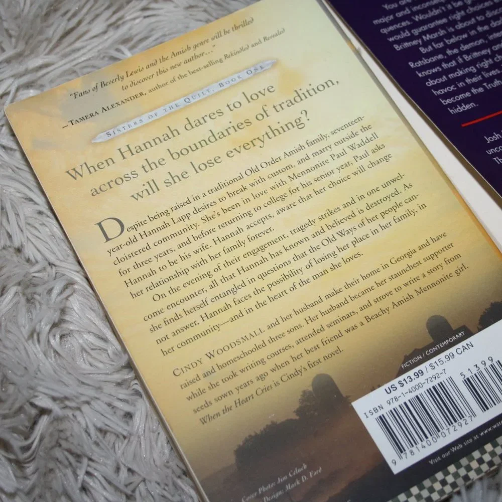 Novel book lot of three Christmas, religion reads (b.j.)